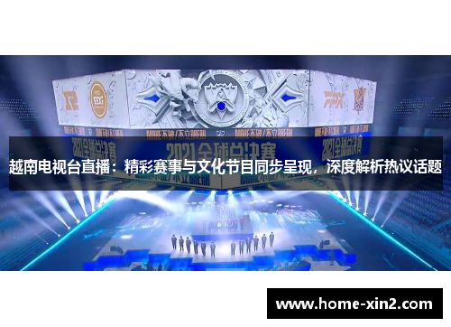 越南电视台直播：精彩赛事与文化节目同步呈现，深度解析热议话题